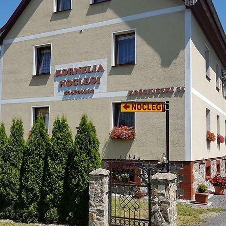 Kornelia Pokoje Goscinne Stronie Śląskie Exterior foto