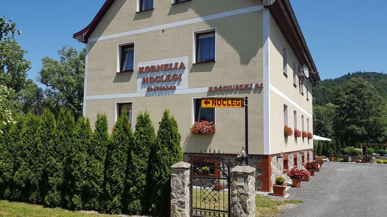 Kornelia Pokoje Goscinne Stronie Śląskie Exterior foto